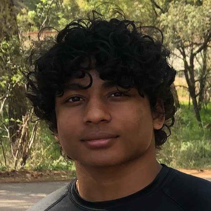 Ashok Chacko Portrait