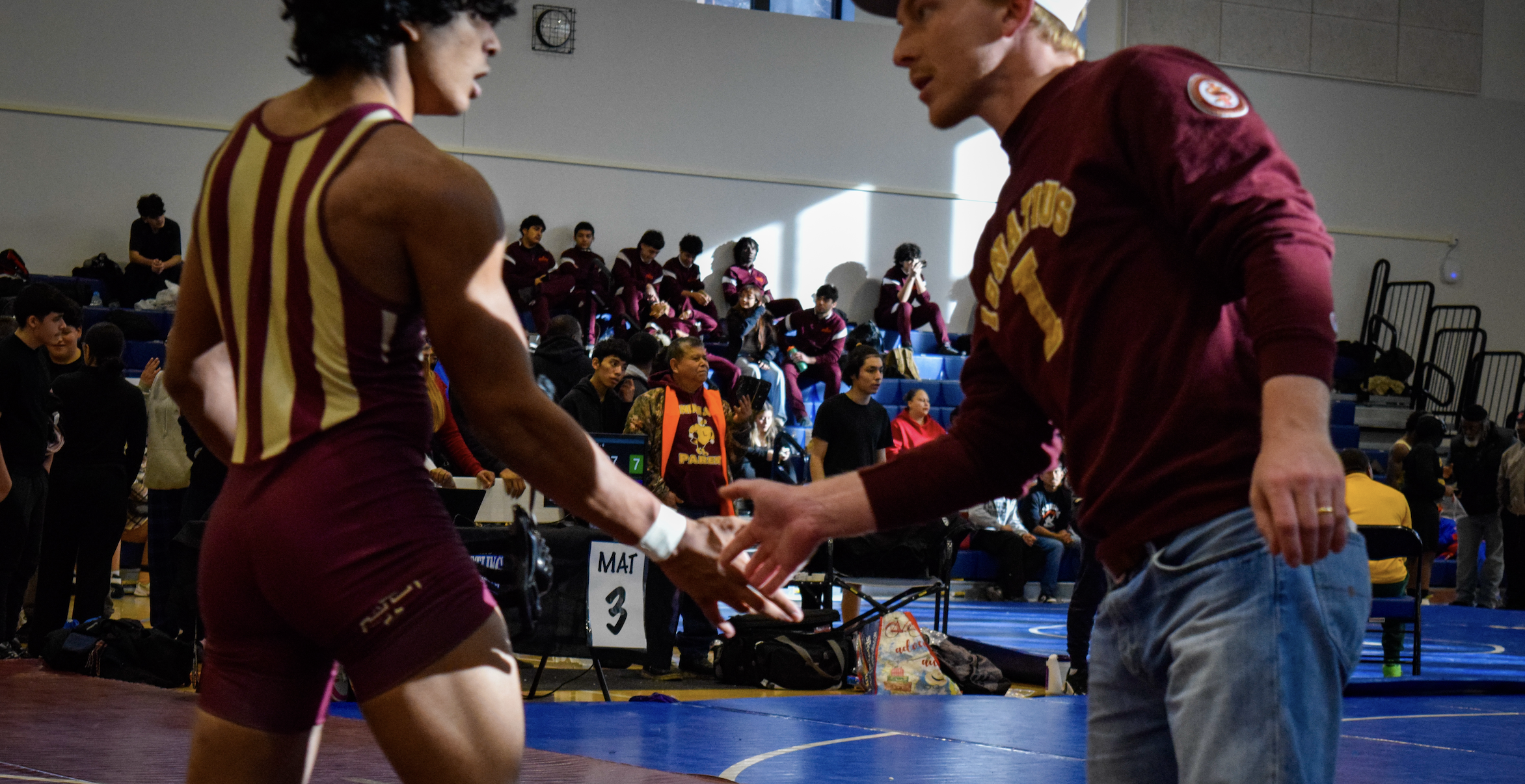 F1-Style Steering Wheel